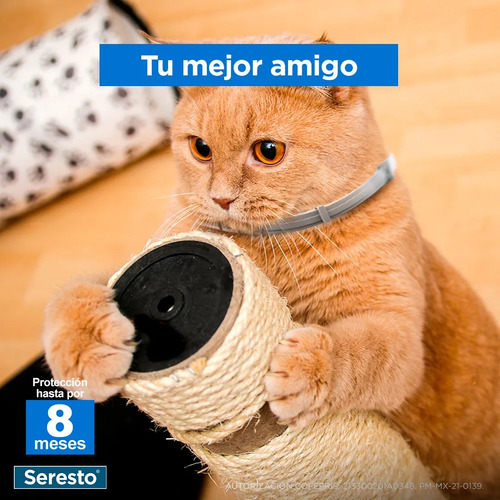 Collar Antipulgas Seresto Elanco Para Perros 2 Grande Y 1 Ch 2 Grandes Y 1 Chico