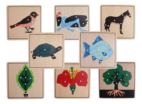8 Rompecabezas Montessori Con Forma De Plantas Y Animales De