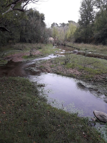 Imagen 1 de 1 de Oportunidad Exclusivo Campo 40 Ha Capilla Del Monte