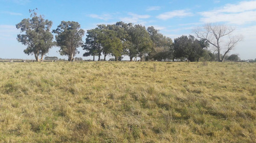 Unico Campo En Venta Con Excelente Costa A Río
