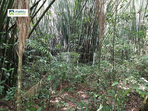 Imagem 18 de 24 de Chácara À Venda No Bairro América De Cima - Morretes/pr - 269