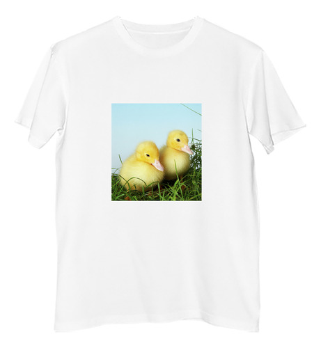 Remera Hombre Aves 1 Patos Descansando Juntos