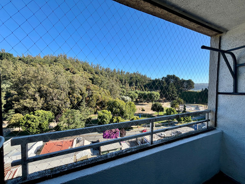 Departamento Céntrico 2d Concepción (81010)