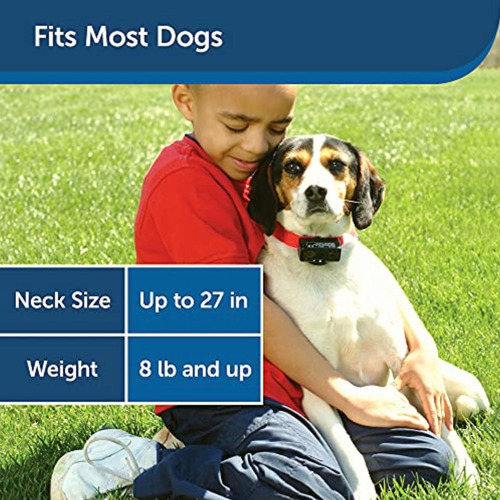 Petsafe Basic Bark Control Collar