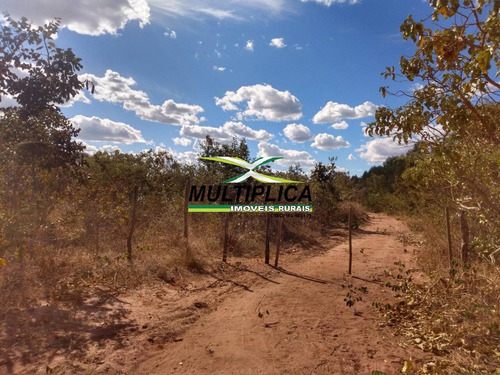 Imagem 6 de 15 de Fazenda 102,22 Hectares, R$ 2.788,10 Ha, Santa Fé De Minas Mg, Pecuária, - 442