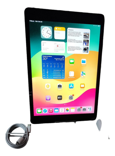Tablet Apple iPad 9na Gen 10.2'' Wifi 64gb 3gb Ram