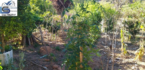 Chácara Localizada Em Pinhalzinho, Interior De São Paulo; - 1131 - 69016500