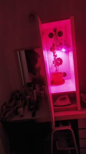 Imagen 3 de 7 de Indoor Completo+100w Lámparas Led Fs+ventilación