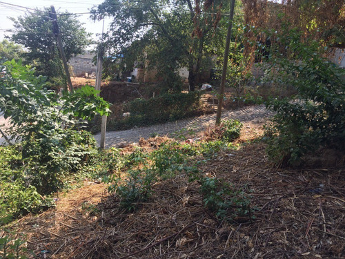 Imagen 3 de 7 de ¡terreno En El Pueblo Con Excelente Ubicación!