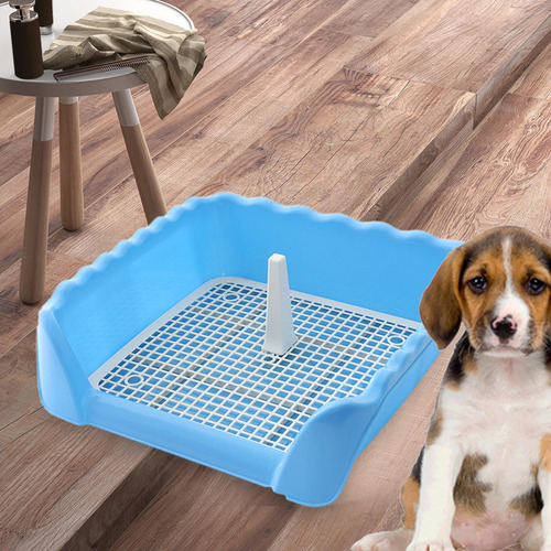Bandeja De Baño De Entrenamiento Para Gatos Y Azul Pequeño