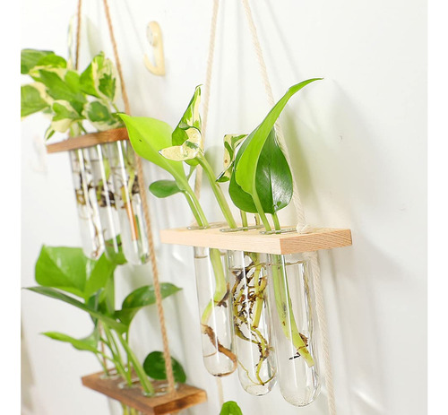 Maceta Colgante De Pared Soporte Madera Mini Tubo Ensayo Mmg