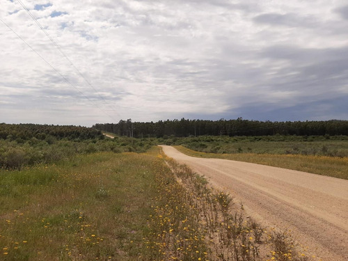 Chacra En Sierra De Las Animas