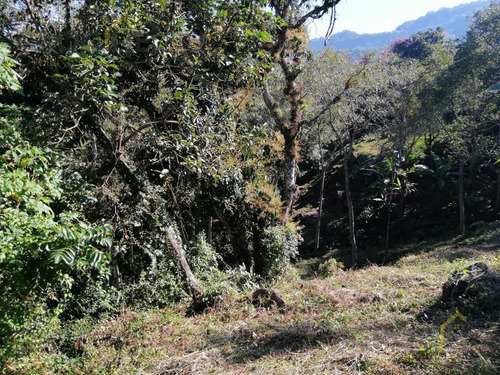Se Vende Terreno En La Concepción Veracruz