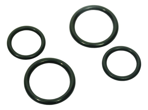 Eheim Set Of Sealing Rings For Adapter/screen 7428680