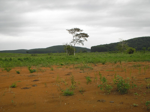 Imagem 5 de 14 de Chacaras 1000 Por Apenas R$ 30.000