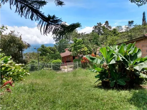 Finquita Titiribi- Vereda Otra Mina