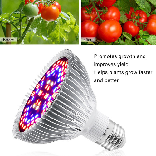 Lâmpada Led Para Crescimento De Plantas Bulb Grow E27 Baixo