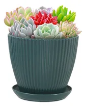 Comprar Macetas Para Plantas Macetas Para Plantas De Interior Maceta