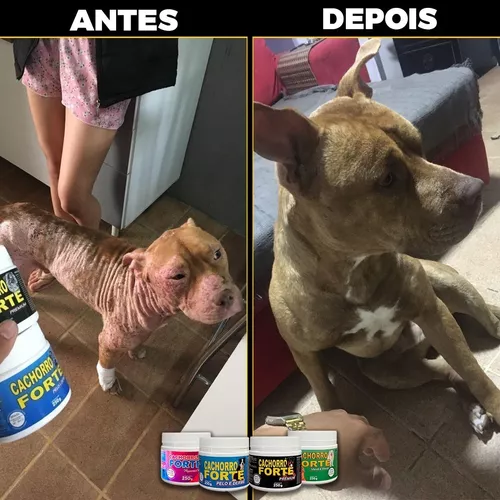 Suplemento Forte Cachorro Pet Pequenas Raças Mega Brother