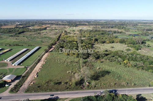 Terreno Campo En Venta En Pilar, G.b.a. Zona Norte