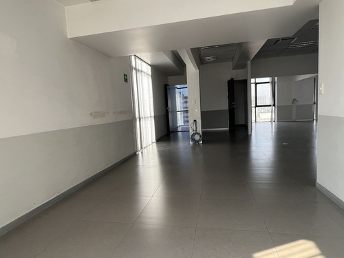 Renta Oficina 230m2 | Terraza ComĂșn | Masaryk, Polanco Miguel Hidalgo Cdmx