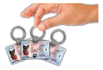 Comprar Placas De Identificación De Mascotas Set 3 Unidades