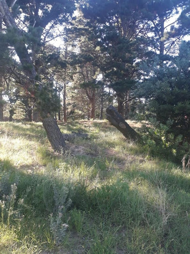Imagen 2 de 6 de Venta De Estupendo Terreno En Villa Gesell