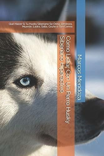 Cómo Lidiar Con Un Perro Husky Siberiano Hiperactivo: Qué Ha