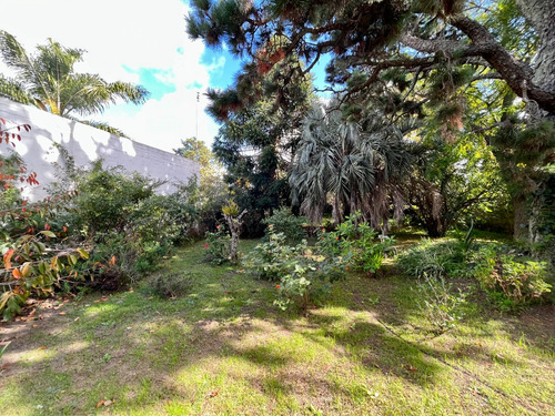 Vende Vivienda Con Buen Terreno.-