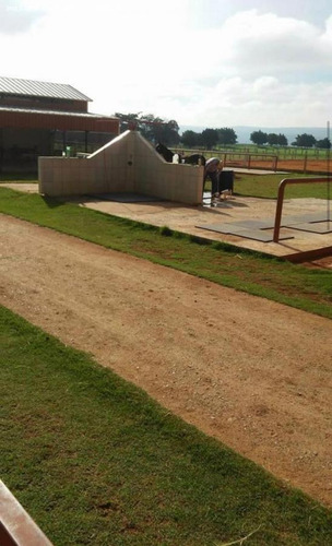 Imagem 4 de 9 de Fazenda Para Venda Em Serra Negra, (fazendinha) - A1813_2-1167770