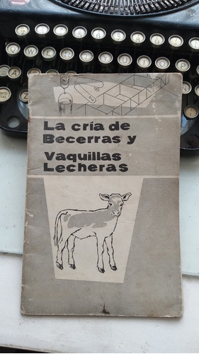 La Cría De Becerras Y Vaquillas Lecheras