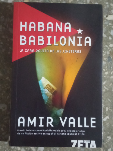 Habana Babilonia - Amir Valle 