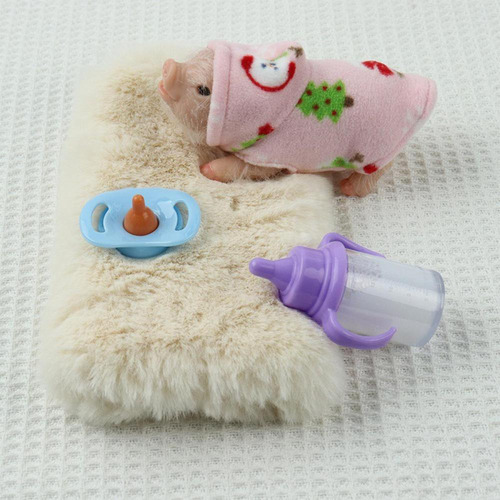 Cerdo Renacido Con Accesorios, Animales De Silicona, Cerdito