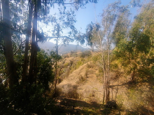 Terreno Urbanizado En Primera Línea Con Vista A La Playa.