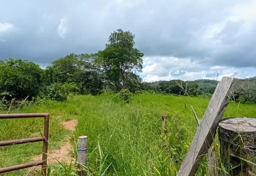 Imagen 5 de 30 de Vendo Finca En Tocuyito Vía Cachinche ( Dt )