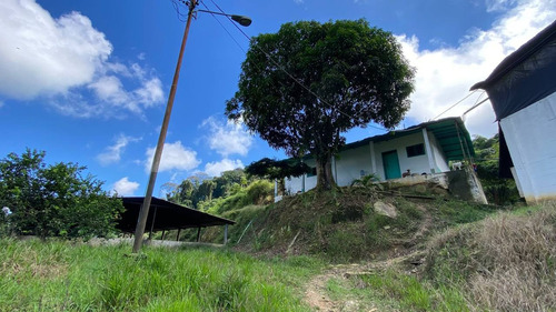 Imagen 9 de 28 de En Venta Granja Porcicola En Las Mesas Via Seboruco