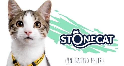 Imagen 8 de 10 de Piedritas Sanitarias Stonecat Aglomerante Por 4 Kg
