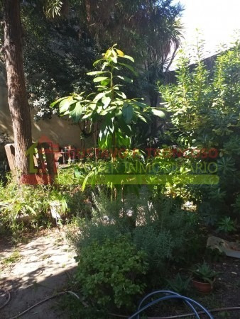 Imagen 24 de 24 de Venta Departamento 3 Ambientes Con Balcón Y Jardín