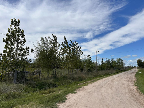 Terrenos En Venta Domselaar