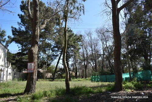Imagen 4 de 5 de Lote En El Monte