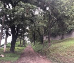 Imagen 11 de 12 de Propiedad De Centro De Retiros En Venta Ideal Para Iglesias