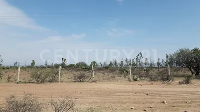 Terreno en renta