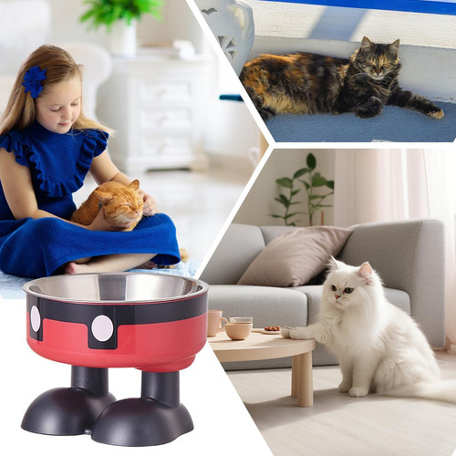 M Tazón Alto De Comida Para Gatos Tazón Elevado De Comida