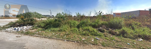 Imagem 5 de 8 de Área Em Jundiapeba - Mogi Das Cruzes, Sp - 2834