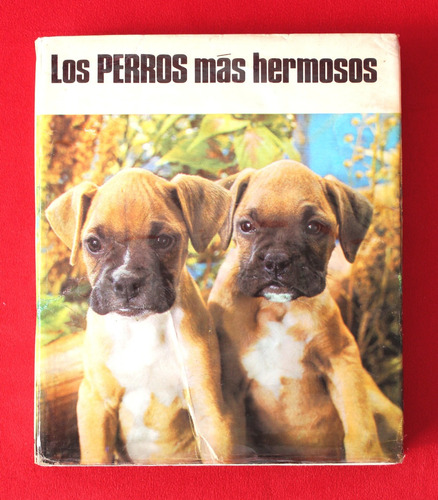 Los Perros Más Hermosos - Alfred Barbou