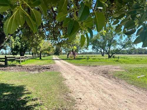 Terreno Campo En Venta En Ruta 28, Pilar, G.b.a. Zona Norte