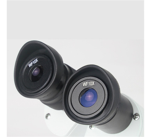 Microscopio Estéreo Binocular Frontal Xt