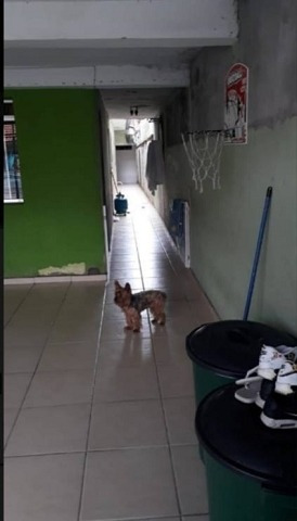 Imagem 6 de 12 de Casa Para Venda, 2 Dormitórios, Parque Continental I - Guarulhos - 1387