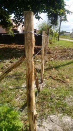 Imagem 6 de 6 de Terreno Litoral Sul Lado Praia 289m²- Ref. 5601/dz