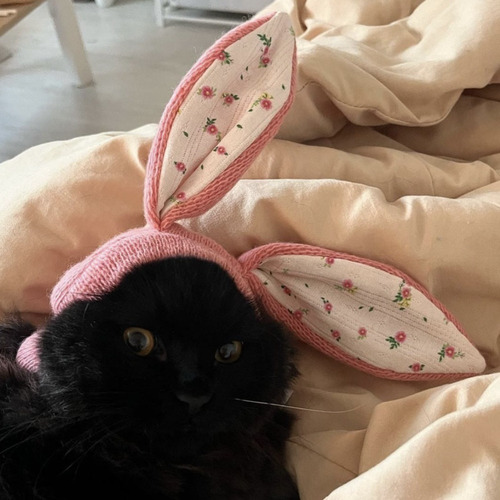 Gorro De Punto Con Orejas De Conejo, Disfraz De Perro, Decor